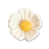 96 St. Feinzuckerblumen mittel weiss